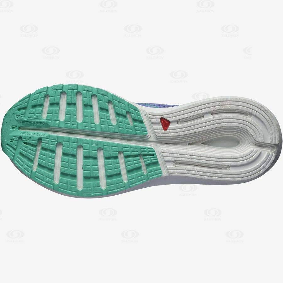 Dámské Běžecké Boty Salomon SONIC 5 BALANCE Fialové | CZ-A1073