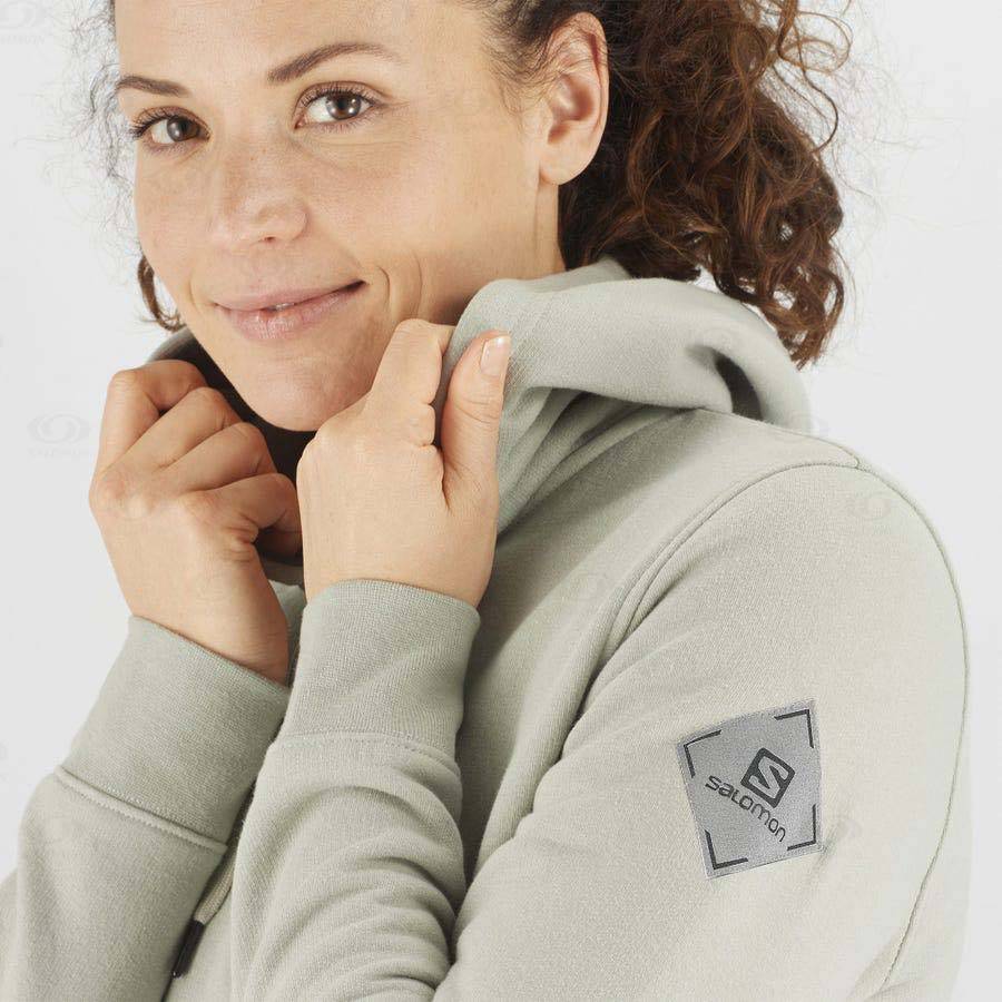 Dámské Mikiny S Kapucí Salomon ESSENTIAL WARM SALOMON Béžový | CZ-A1542