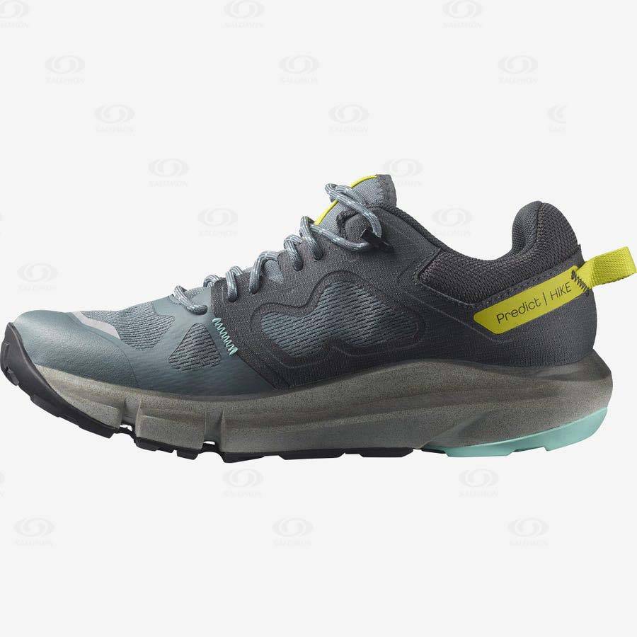 Dámské Nepromokavé Boty Salomon PREDICT HIKE GORE-TEX Stříbrné | CZ-N2135