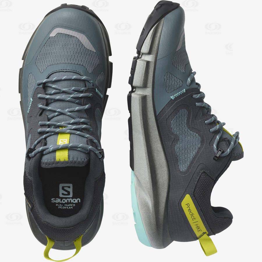 Dámské Nepromokavé Boty Salomon PREDICT HIKE GORE-TEX Stříbrné | CZ-N2135