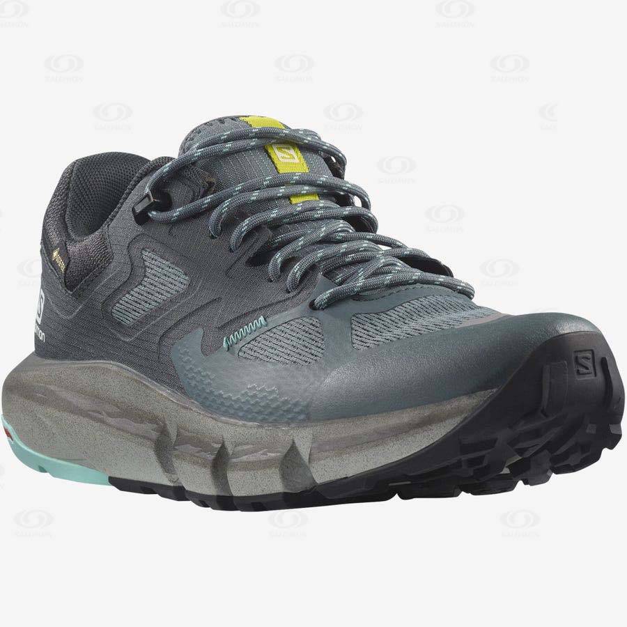 Dámské Nepromokavé Boty Salomon PREDICT HIKE GORE-TEX Stříbrné | CZ-N2135