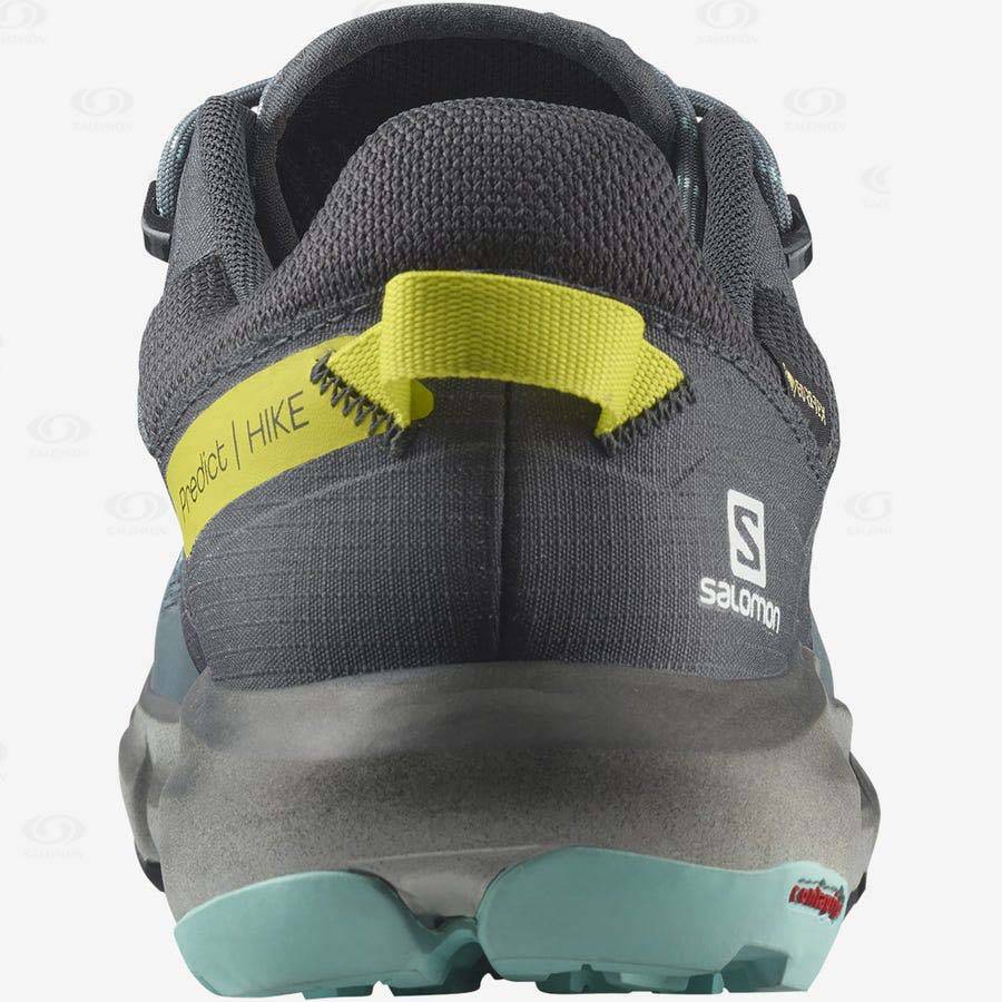 Dámské Nepromokavé Boty Salomon PREDICT HIKE GORE-TEX Stříbrné | CZ-N2135