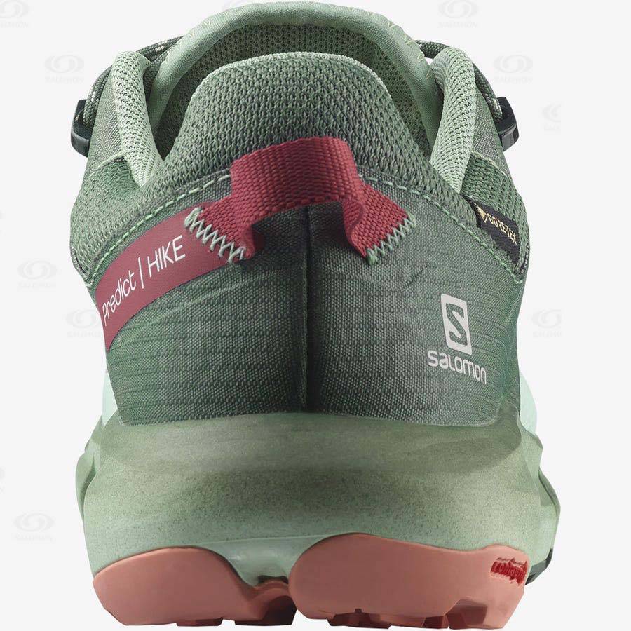 Dámské Nepromokavé Boty Salomon PREDICT HIKE GORE-TEX Tyrkysové | CZ-W2940