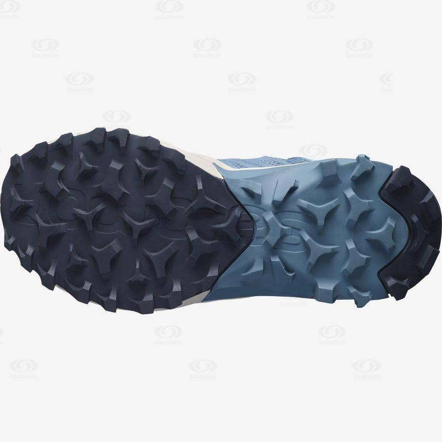 Dámské Trailové Běžecké Boty Salomon MADCROSS GORE-TEX Blankyt | CZ-W2660