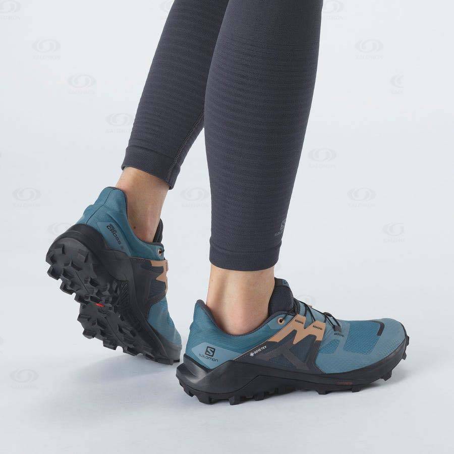 Dámské Trailové Běžecké Boty Salomon WILDCROSS 2 GORE-TEX Blankyt | CZ-O1252