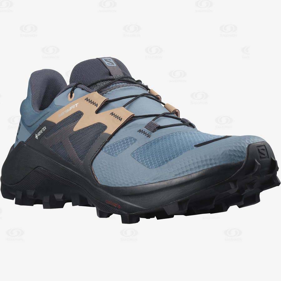 Dámské Trailové Běžecké Boty Salomon WILDCROSS 2 GORE-TEX Blankyt | CZ-O1252