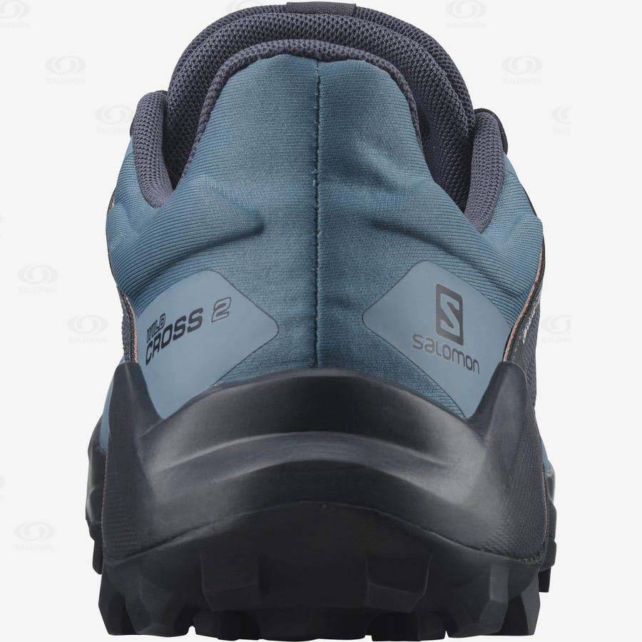 Dámské Trailové Běžecké Boty Salomon WILDCROSS 2 GORE-TEX Blankyt | CZ-O1252