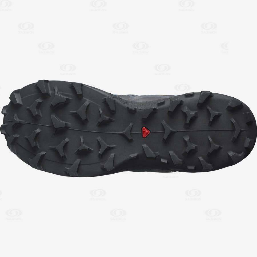Dámské Trailové Běžecké Boty Salomon WILDCROSS 2 GORE-TEX Blankyt | CZ-O1252