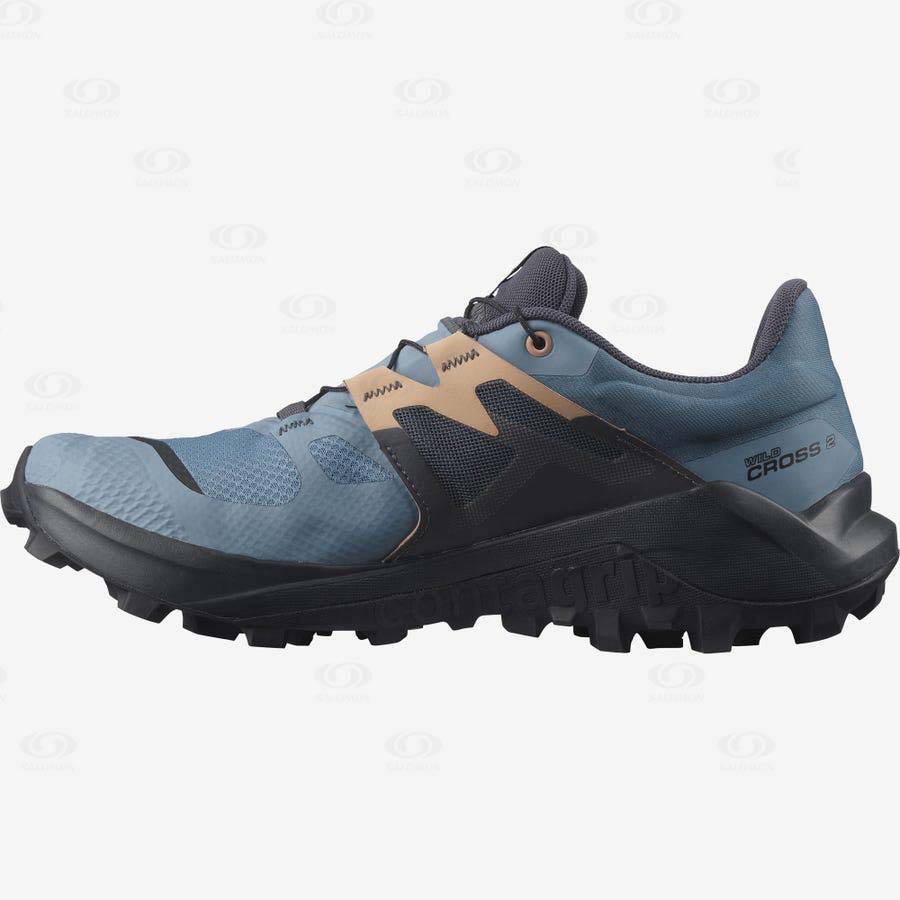 Dámské Trailové Běžecké Boty Salomon WILDCROSS 2 GORE-TEX Blankyt | CZ-O1252