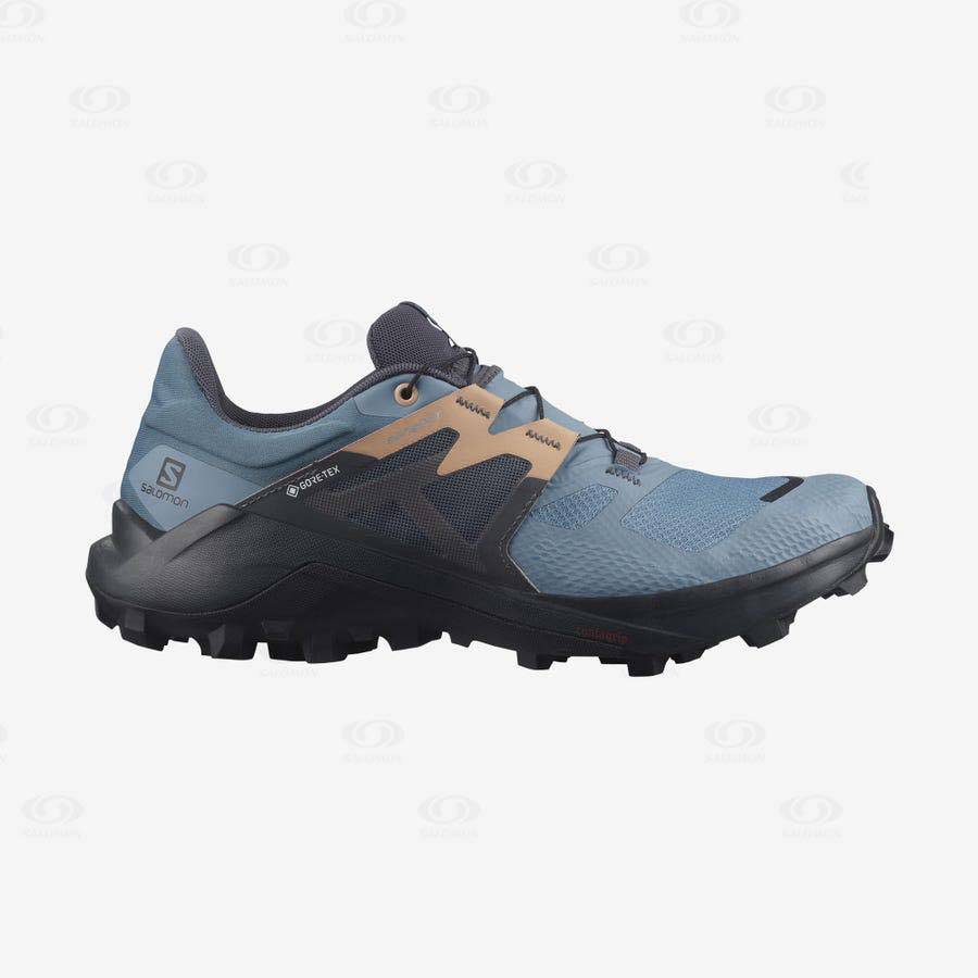 Dámské Trailové Běžecké Boty Salomon WILDCROSS 2 GORE-TEX Blankyt | CZ-O1252