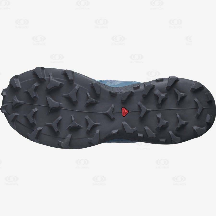 Dámské Trailové Běžecké Boty Salomon WILDCROSS 2 Blankyt | CZ-O2155