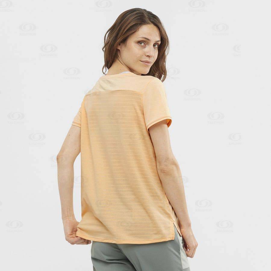 Dámské Tričko Salomon OUTLINE SUMMER Hnědé | CZ-L2201