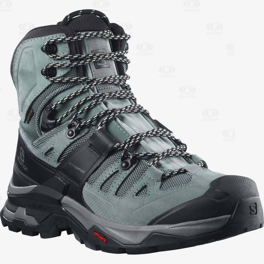 Dámské Turistické Boty Salomon QUEST 4 GORE-TEX Blankyt | CZ-L1830