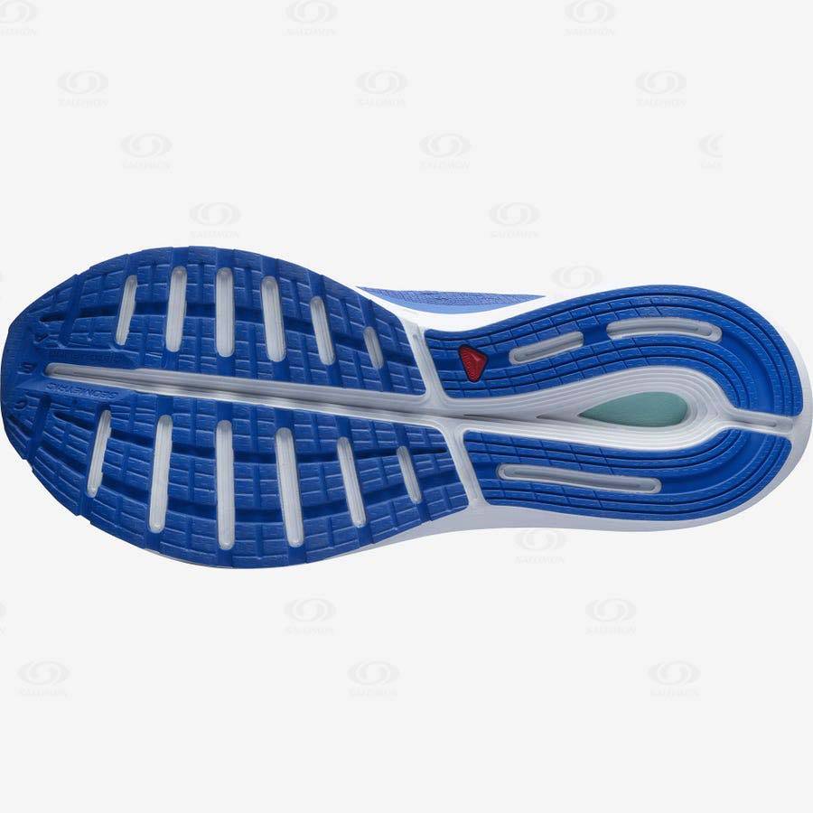 Pánské Běžecké Boty Salomon SONIC 4 Balance Blankyt | CZ-S2416