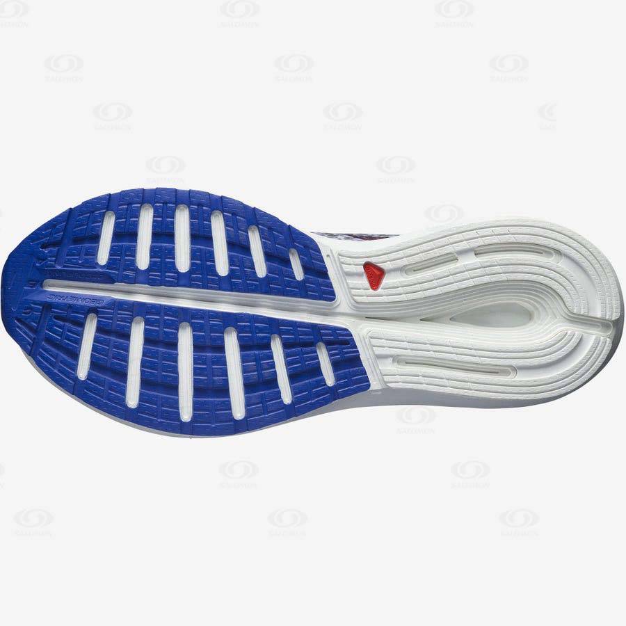 Pánské Běžecké Boty Salomon SONIC 5 BALANCE Červené Blankyt | CZ-S1520