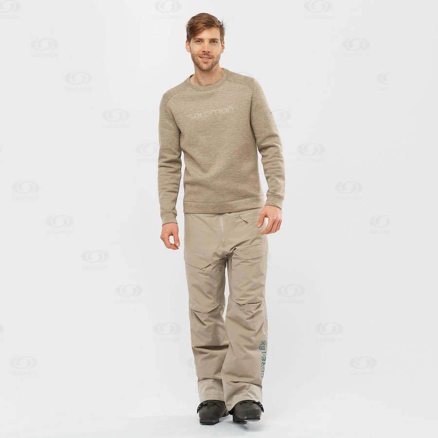 Pánské Lyžařské Kalhoty Salomon GRAVITY GORE-TEX Hnědé | CZ-M2329