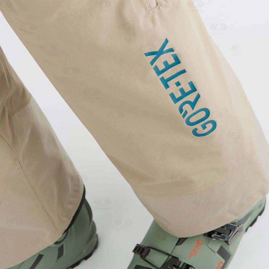 Pánské Lyžařské Kalhoty Salomon GRAVITY GORE-TEX Hnědé | CZ-M2329