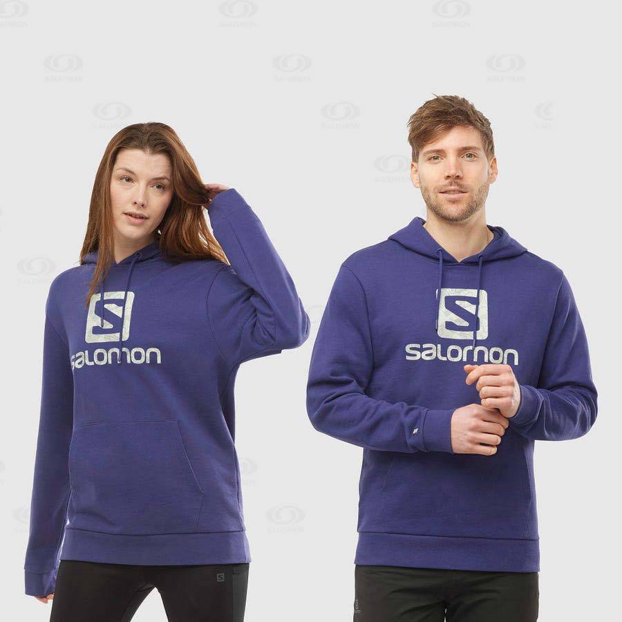 Pánské Mikiny S Kapucí Salomon OUTLIFE LOGO SUMMER Fialové | CZ-S2206