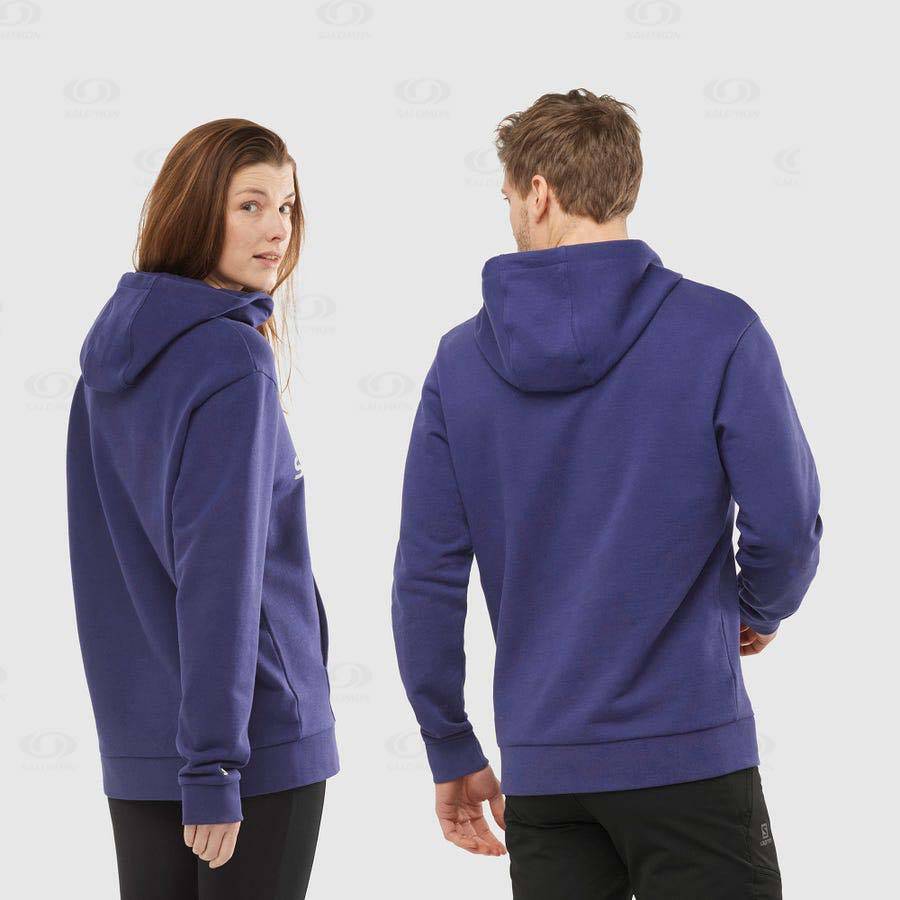 Pánské Mikiny S Kapucí Salomon OUTLIFE LOGO SUMMER Fialové | CZ-S2206