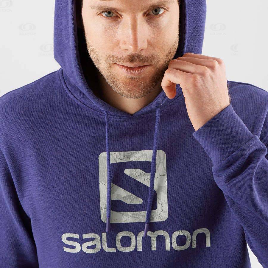 Pánské Mikiny S Kapucí Salomon OUTLIFE LOGO SUMMER Fialové | CZ-S2206