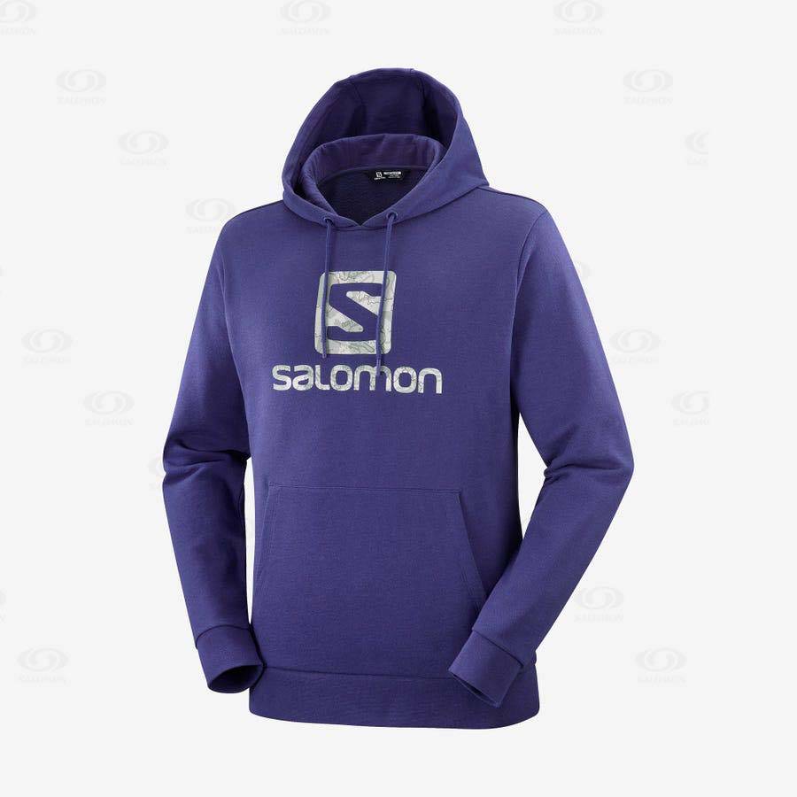 Pánské Mikiny S Kapucí Salomon OUTLIFE LOGO SUMMER Fialové | CZ-S2206