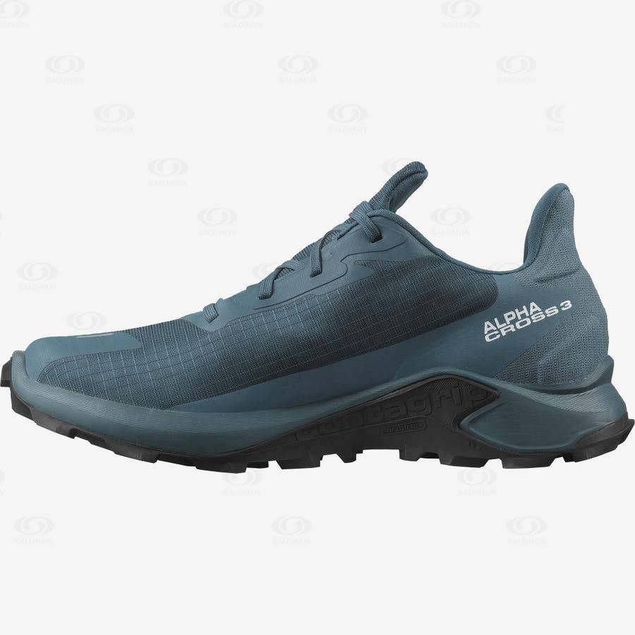 Pánské Nepromokavé Boty Salomon ALPHACROSS 3 GORE-TEX Blankyt | CZ-O2029