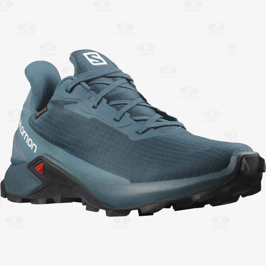 Pánské Nepromokavé Boty Salomon ALPHACROSS 3 GORE-TEX Blankyt | CZ-O2029