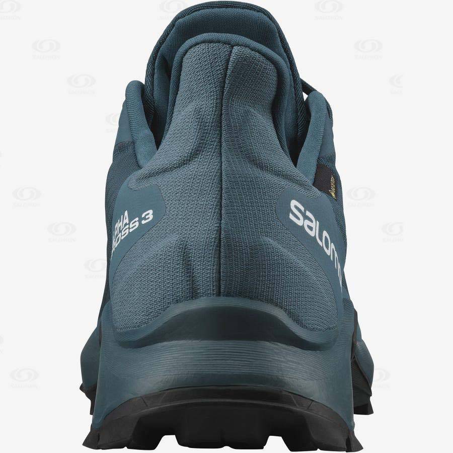 Pánské Nepromokavé Boty Salomon ALPHACROSS 3 GORE-TEX Blankyt | CZ-O2029