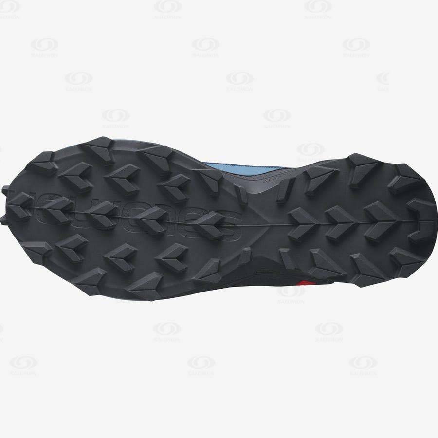 Pánské Nepromokavé Boty Salomon ALPHACROSS 3 GORE-TEX Blankyt | CZ-O2029