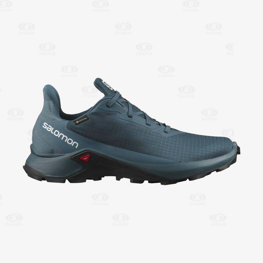 Pánské Nepromokavé Boty Salomon ALPHACROSS 3 GORE-TEX Blankyt | CZ-O2029