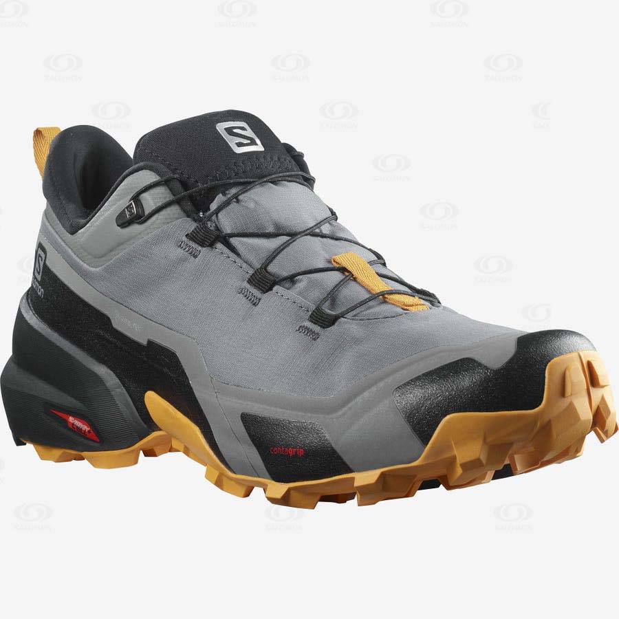 Pánské Nepromokavé Boty Salomon CROSS HIKE GORE-TEX Šedé | CZ-W1650