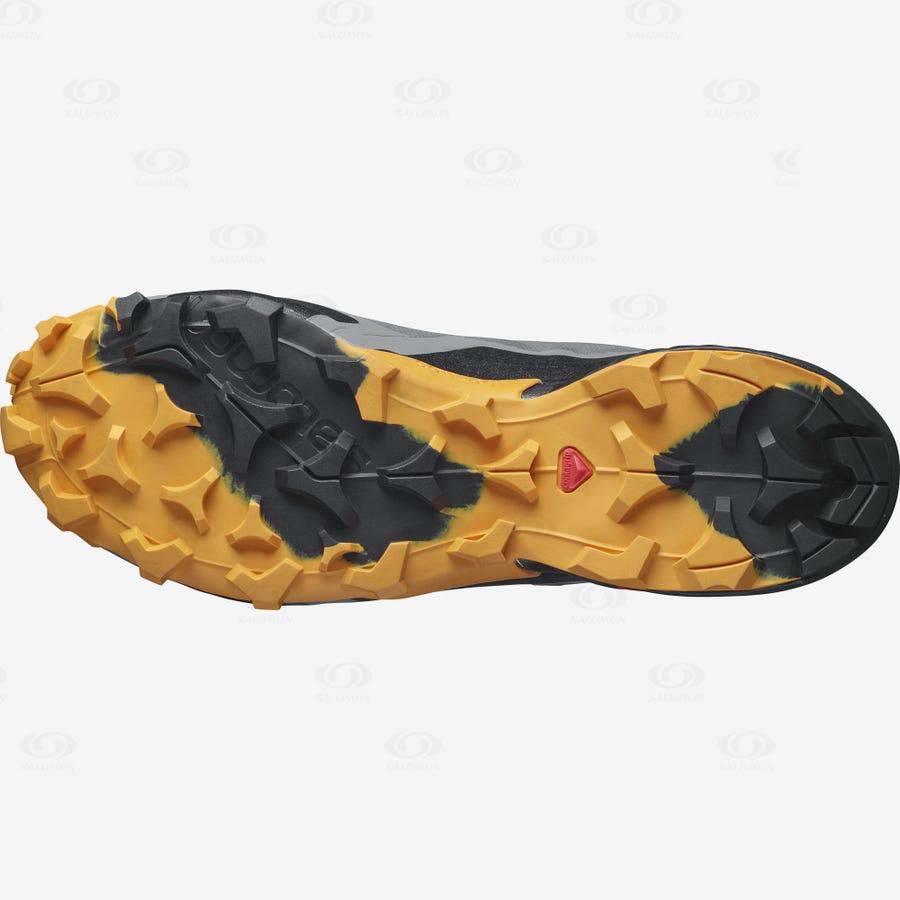 Pánské Nepromokavé Boty Salomon CROSS HIKE GORE-TEX Šedé | CZ-W1650