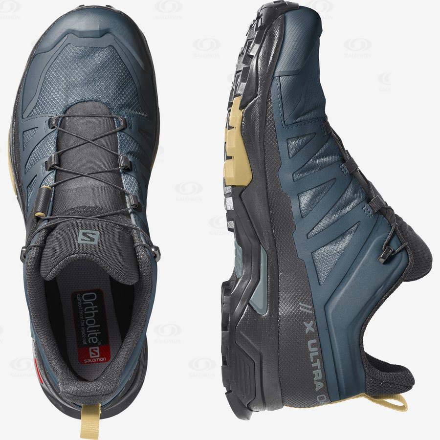 Pánské Nepromokavé Boty Salomon X ULTRA 4 GORE-TEX Blankyt | CZ-O1056