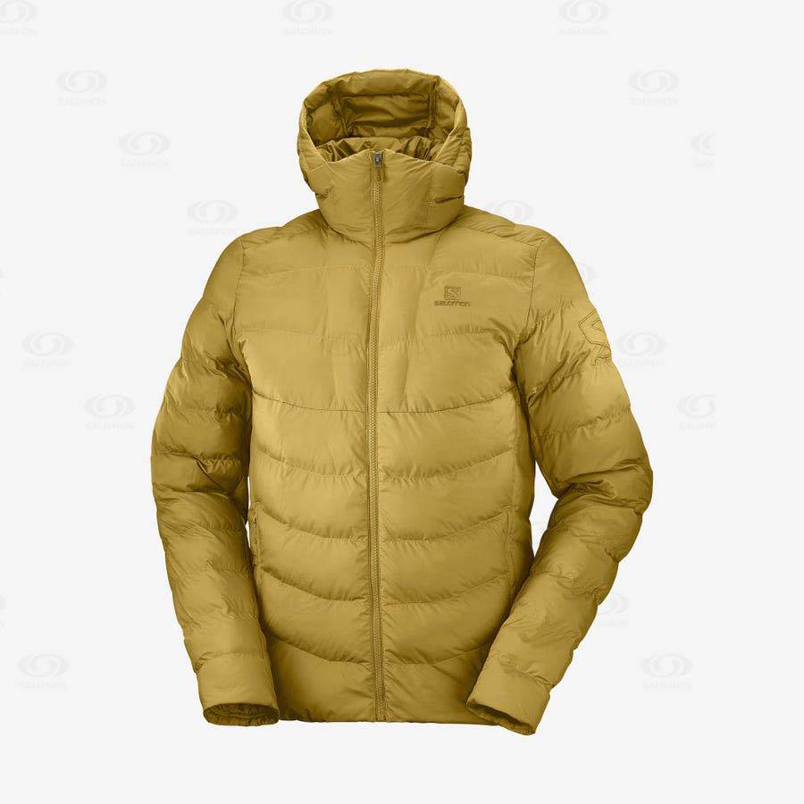 Pánské Softshellová Bunda Salomon Bundy ESSENTIAL XWARM INSULATED Žluté | CZ-W3980