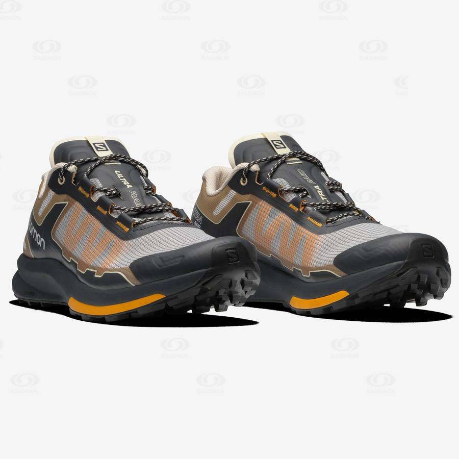 Pánské Tenisky Salomon ULTRA RAID Hnědé Stříbrné | CZ-S2353