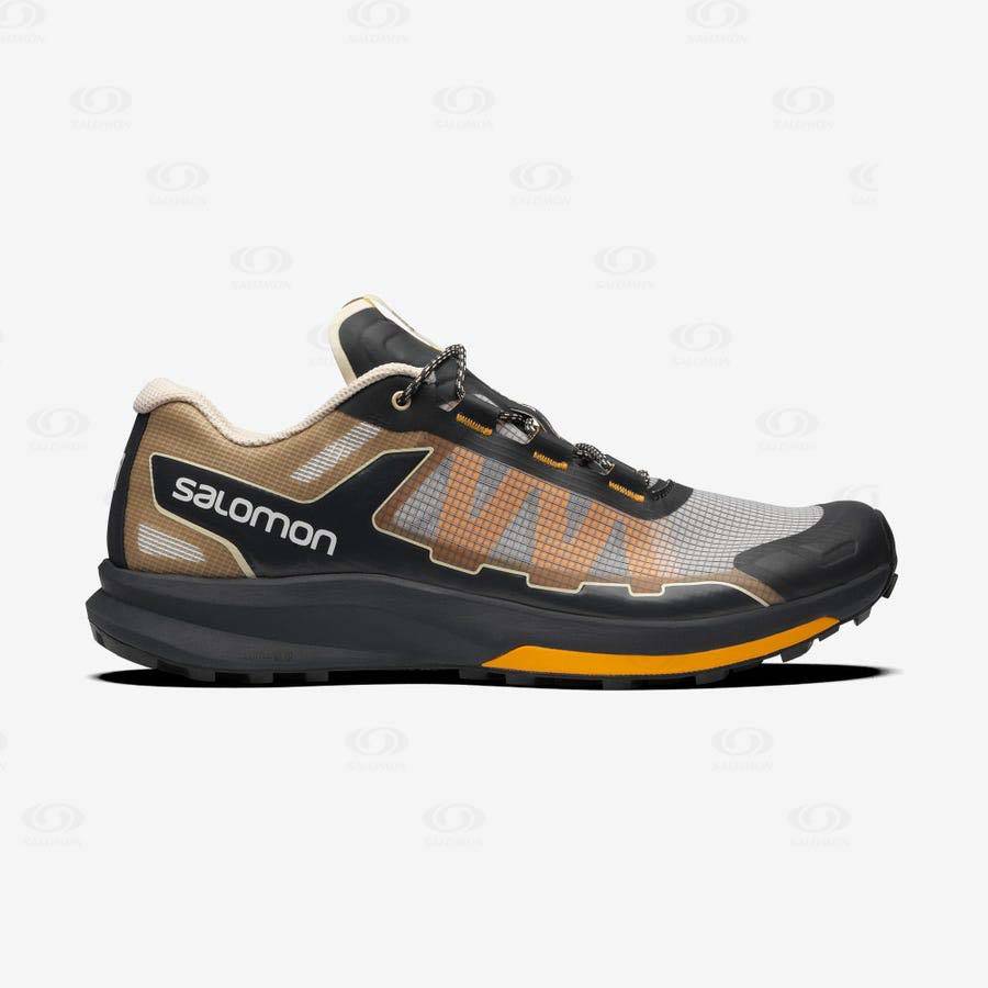 Pánské Tenisky Salomon ULTRA RAID Hnědé Stříbrné | CZ-S2353