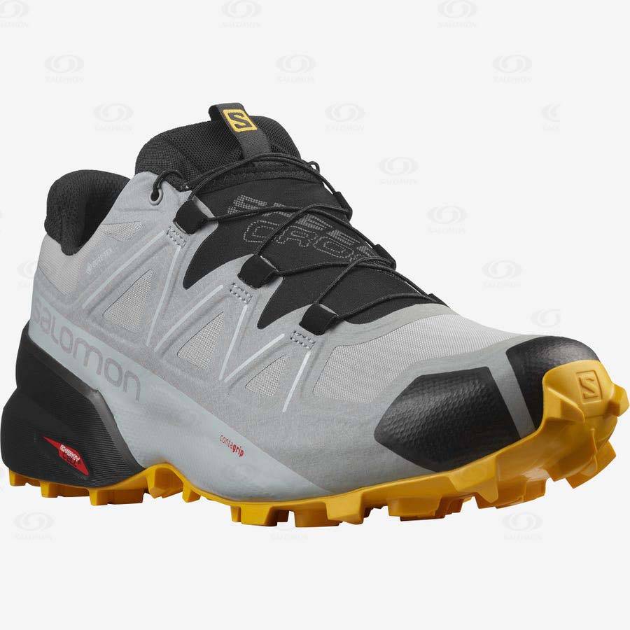 Pánské Trailové Běžecké Boty Salomon SPEEDCROSS 5 GORE-TEX Černé Šedé | CZ-A2046