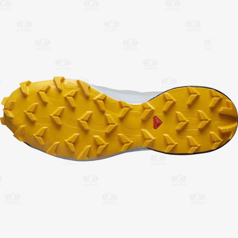 Pánské Trailové Běžecké Boty Salomon SPEEDCROSS 5 GORE-TEX Černé Šedé | CZ-A2046
