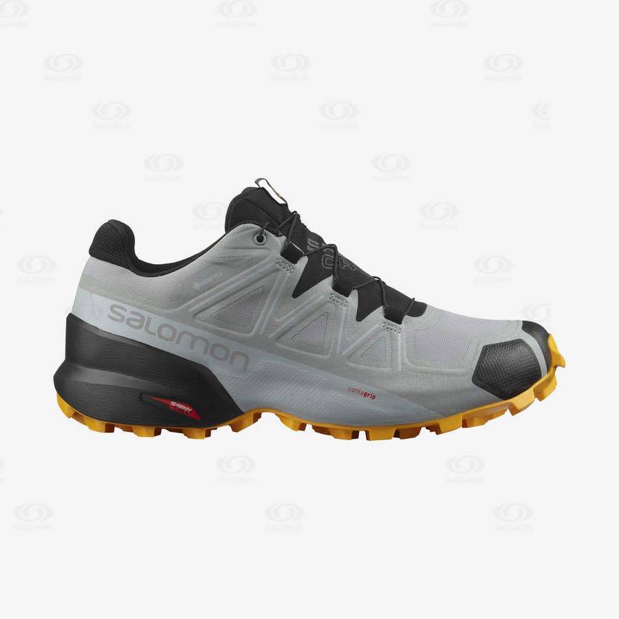 Pánské Trailové Běžecké Boty Salomon SPEEDCROSS 5 GORE-TEX Černé Šedé | CZ-A2046
