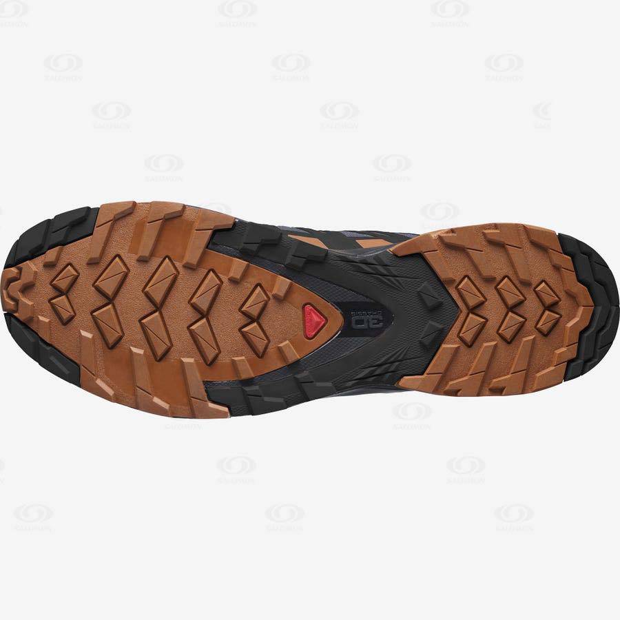 Pánské Trailové Běžecké Boty Salomon XA PRO 3D v8 GORE-TEX Stříbrné | CZ-O2113