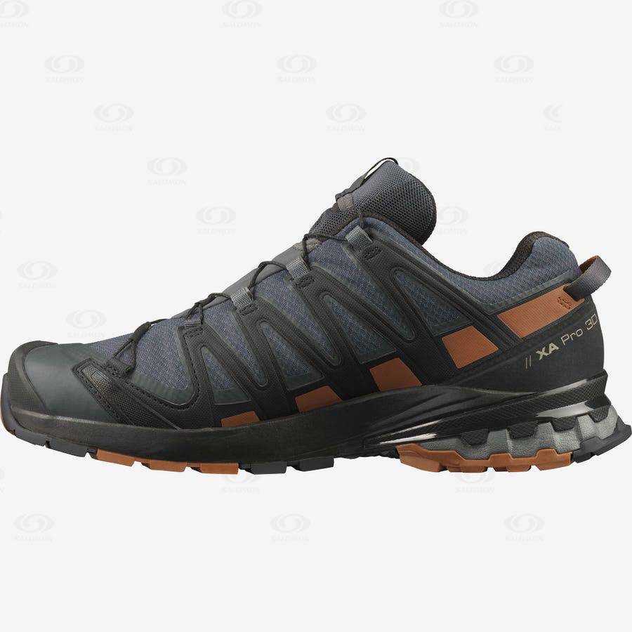 Pánské Trailové Běžecké Boty Salomon XA PRO 3D v8 GORE-TEX Stříbrné | CZ-O2113