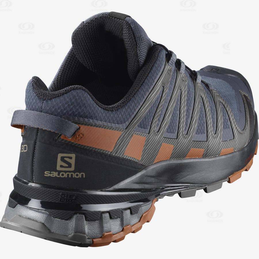 Pánské Trailové Běžecké Boty Salomon XA PRO 3D v8 GORE-TEX Stříbrné | CZ-O2113