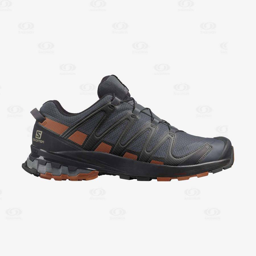 Pánské Trailové Běžecké Boty Salomon XA PRO 3D v8 GORE-TEX Stříbrné | CZ-O2113