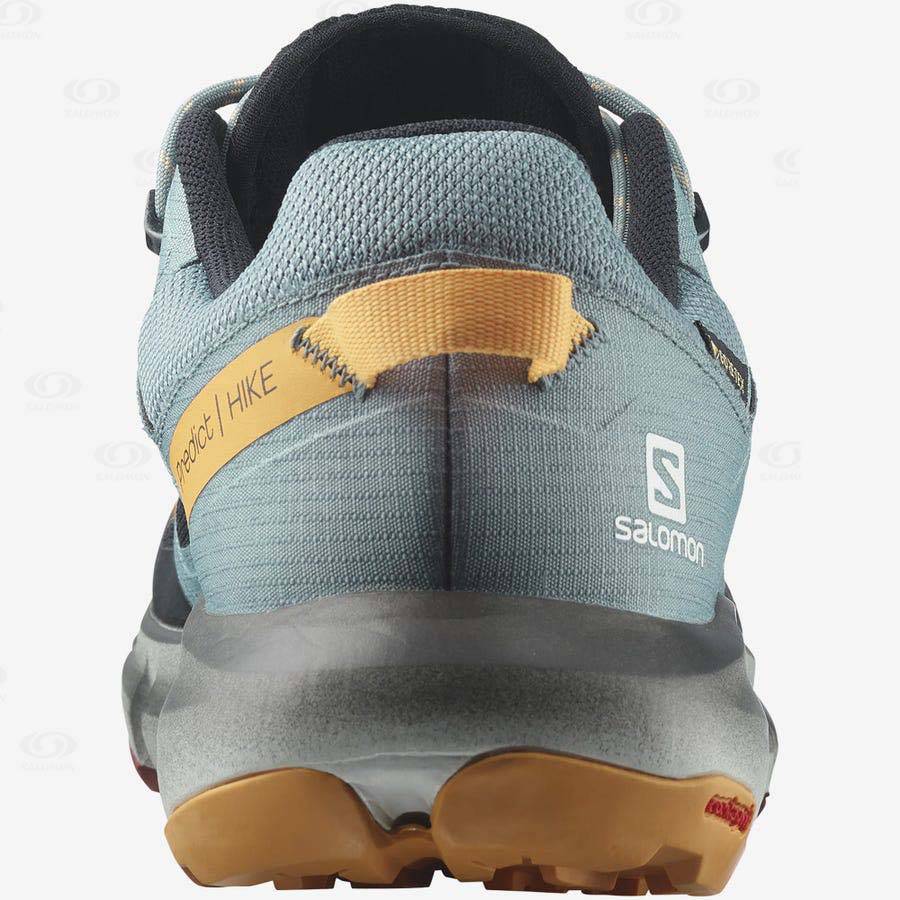 Pánské Trekové Boty Salomon PREDICT HIKE GORE-TEX Černé Oranžové | CZ-A1122