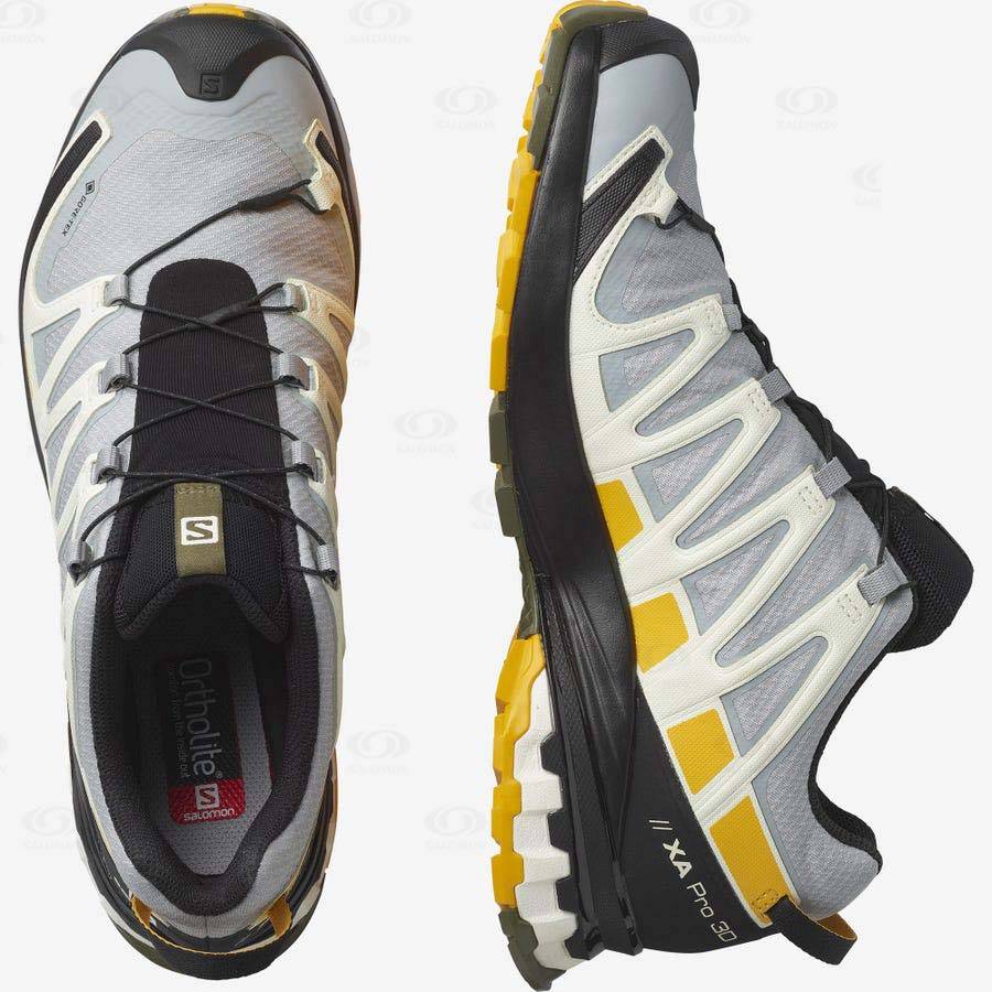 Pánské Trekové Boty Salomon XA PRO 3D v8 GORE-TEX Stříbrné | CZ-N1407