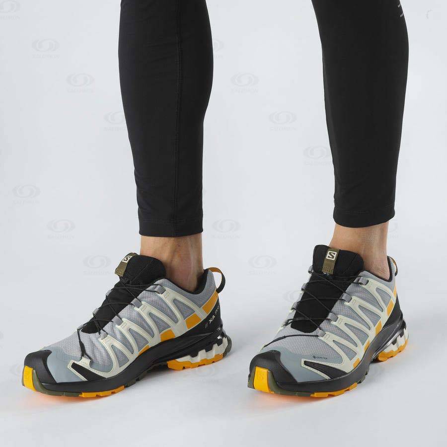 Pánské Trekové Boty Salomon XA PRO 3D v8 GORE-TEX Stříbrné | CZ-N1407