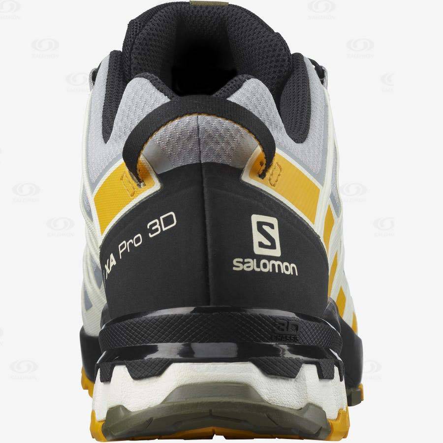 Pánské Trekové Boty Salomon XA PRO 3D v8 GORE-TEX Stříbrné | CZ-N1407