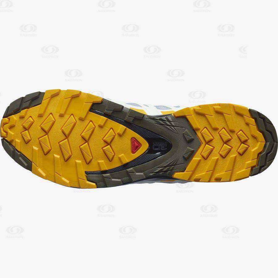 Pánské Trekové Boty Salomon XA PRO 3D v8 GORE-TEX Stříbrné | CZ-N1407