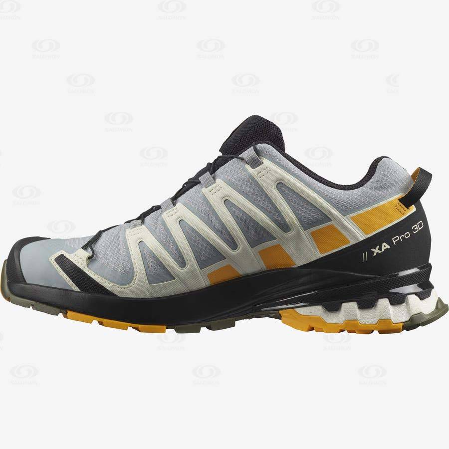 Pánské Trekové Boty Salomon XA PRO 3D v8 GORE-TEX Stříbrné | CZ-N1407