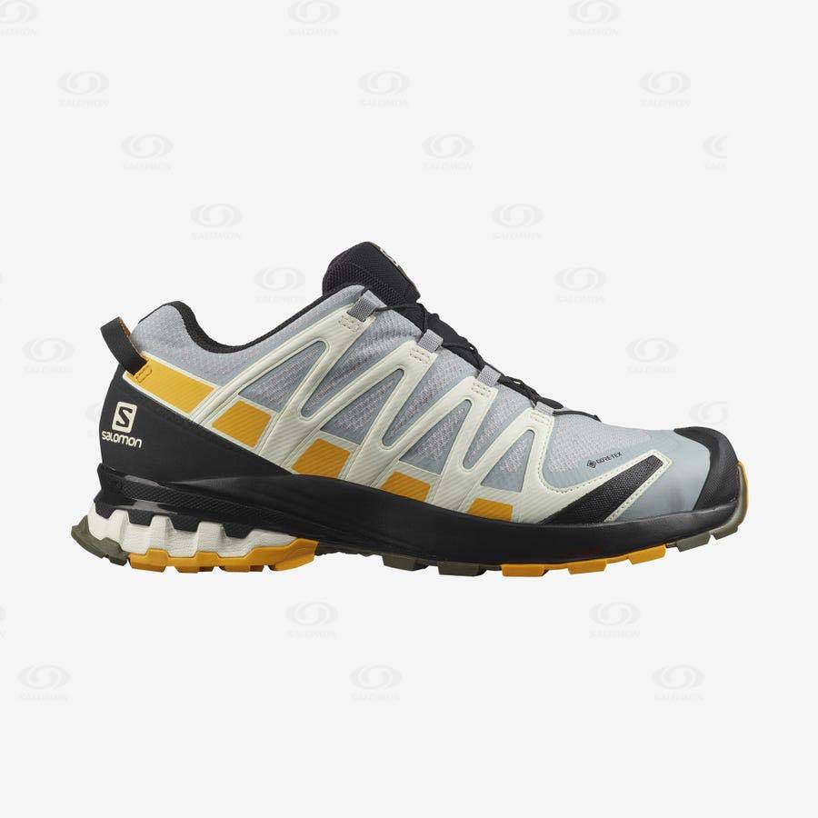 Pánské Trekové Boty Salomon XA PRO 3D v8 GORE-TEX Stříbrné | CZ-N1407